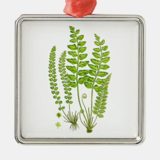 Antike grüne Natur-botanische Kunst des Silbernes Ornament