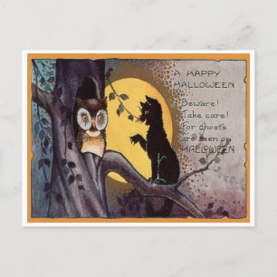 Antike Halloween-Eule-&-Katze-Postkarte Postkarte