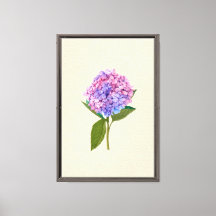 Antike Hortensie