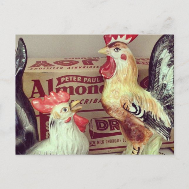 Antike Hühner Postkarte (Vorderseite)