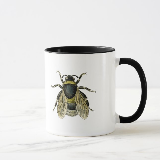 Antike Illustration der Biene Tasse (Rechts)