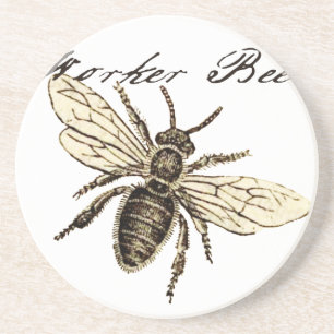 Antike Illustration einer Arbeiterbiene im Vintage Untersetzer