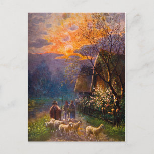 Antike Illustration, Schafherde bei Nacht Postkarte