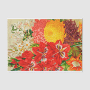 Antike kann Blumen des 1894 Katalog-Seidenpapiers Seidenpapier