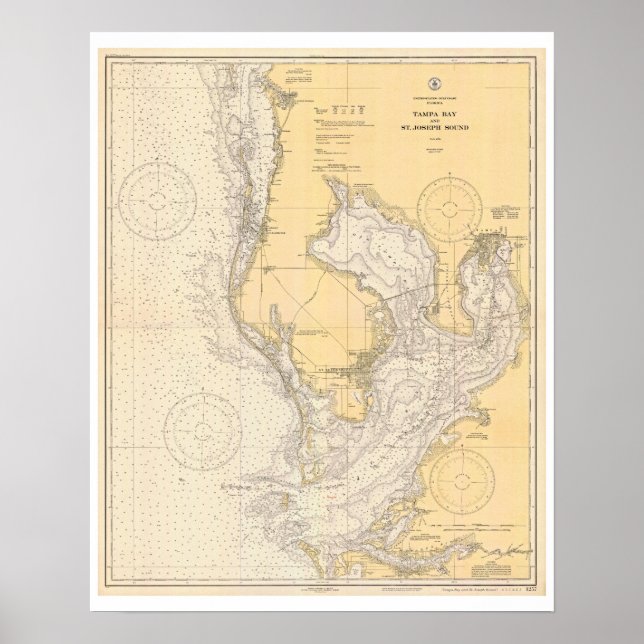 Antike Karte von Tampa Bay Florida Poster (Vorne)