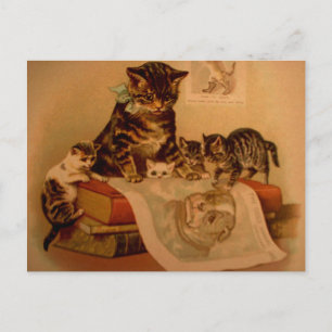 Antike Kätzchen & Bücher Kitty Schule Postkarte