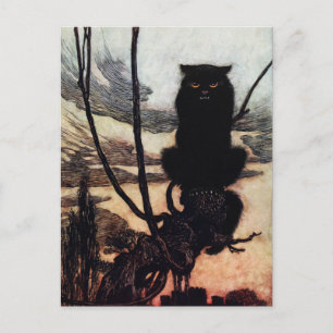 Antike Katzen-Postkarte Postkarte