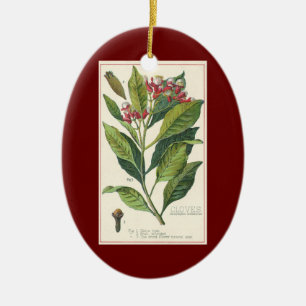 Antike Kräuter und Gewürze für Lebensmittel, Nelke Keramik Ornament