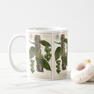 Antike Kräuter und Gewürze für Lebensmittel, Schwa Kaffeetasse