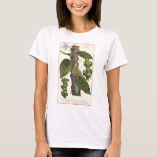 Antike Kräuter und Gewürze für Lebensmittel, Schwa T-Shirt