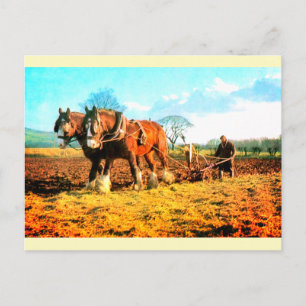 Antike Landwirtschaft Postkarte