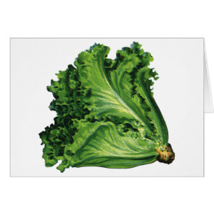 Antike Lebensmittel, Grüne Blattgemüse