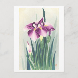 Antike lila Iris aus Japan Postkarte