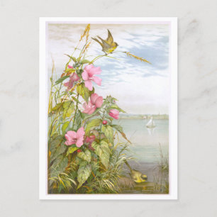 Antike Lithografie Sumpf-Malve mit Vogel Postkarte