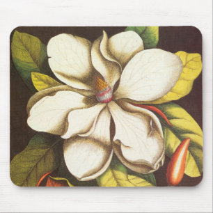Antike Magnolienblüten Pflanze mit Samen Mousepad