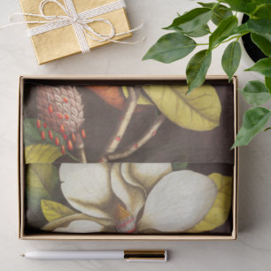 Antike Magnolienblüten Pflanze mit Samen Seidenpapier