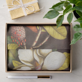 Antike Magnolienblüten Pflanze mit Samen Seidenpapier