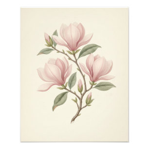 Antike Magnolienzweig Elegante Pflanzen Kunst Fotodruck