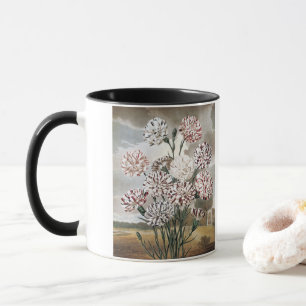 Antike mehrfarbige Nelken mit grauem Himmel Tasse