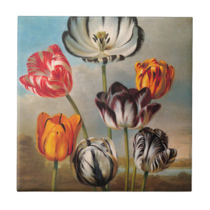Antike mehrfarbige Tulpenblumen in einer Landschaf Fliese