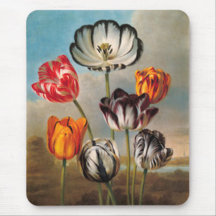 Antike mehrfarbige Tulpenblumen in einer Landschaf Mousepad