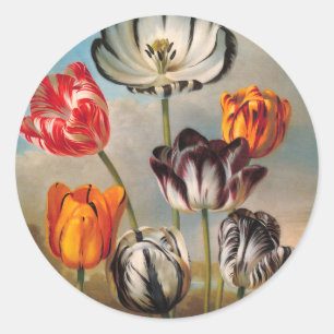 Antike mehrfarbige Tulpenblumen in einer Landschaf Runder Aufkleber