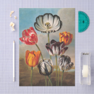 Antike mehrfarbige Tulpenblumen in einer Landschaf Seidenpapier