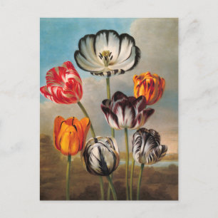Antike mehrfarbige Tulpenblüten in einer Landschaf Postkarte