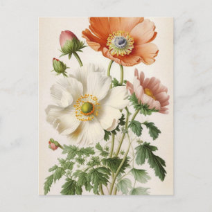 Antike Mohnblumen Postkarte