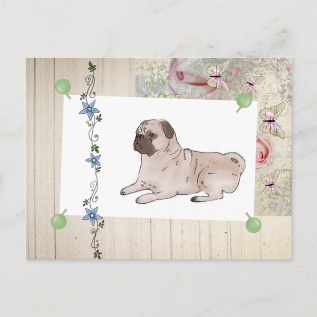 antike Mops Postkarte (Vorderseite)