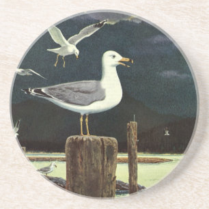 Antike Möwe auf Pier, Meeresvögel Tiere Getränkeuntersetzer
