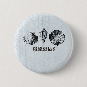 Antike Muscheln Button