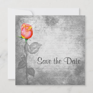 Antike Peace Rose Hochzeit Save The Date