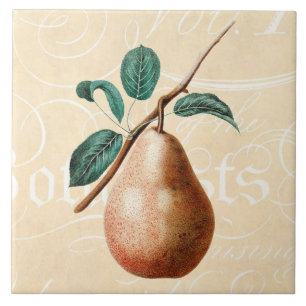Antike Pear-Fruchtzweig mit Blättern aus dem 19. J Fliese