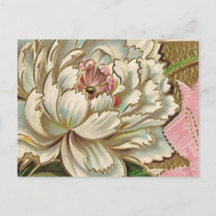Antike Pfingstrose-Blume Postkarte