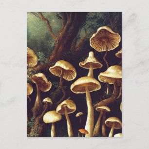 Antike Pilze Postkarte
