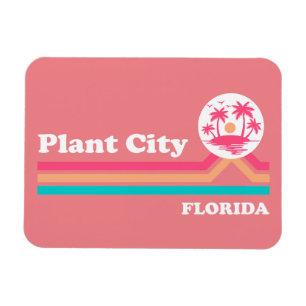 Antike Plant City Florida Magnet