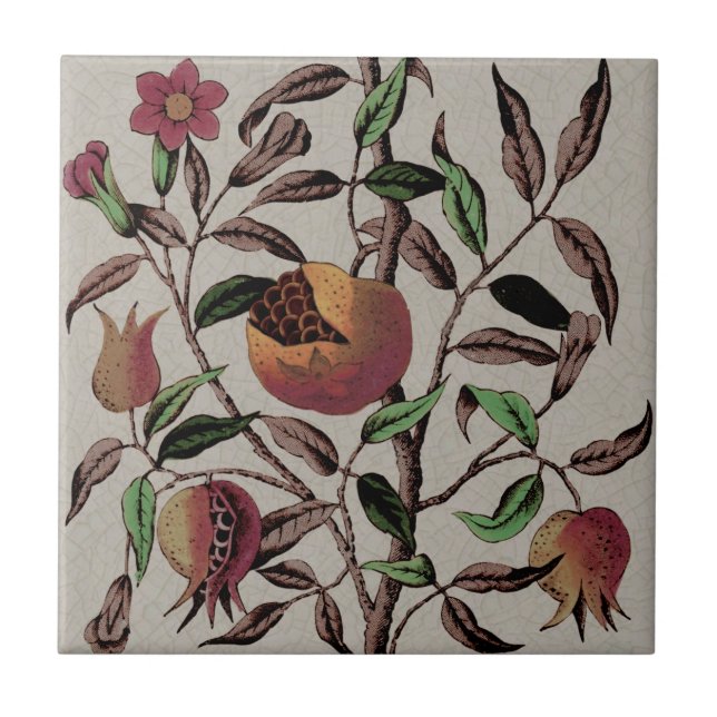 Antike Polychrome-Granatapfelbildung Fliese (Vorderseite)