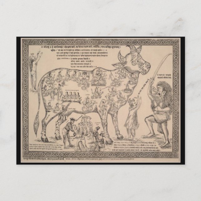 Antike Postkarte, Hindu-göttliche Kuh-Diagramm Postkarte (Vorderseite)