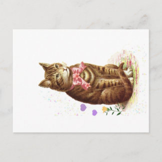 Antike Postkarte Klassische getigerte Katze mit ro
