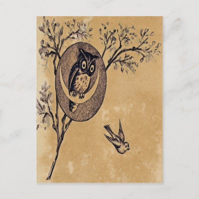 Antike Postkarte mit Eule (Vorderseite)