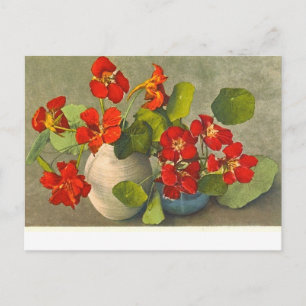 Antike Postkarte mit Kapuzinerkresse-Sträußen.