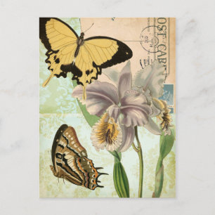 Antike Postkarte mit Schmetterlingen und Blumen