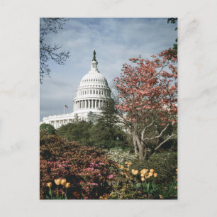 Antike Postkarte von Washington DC
