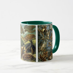 Antike Reptilien und Amphibien von Ernst Haeckel Tasse