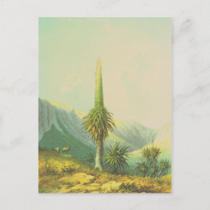 Antike riesige exotische Pflanze Postkarte