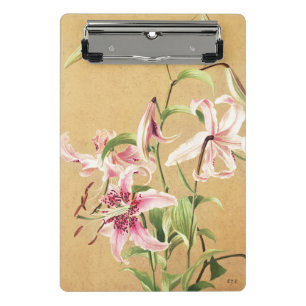 Antike rosa orientalische Lilie botanische Blumenk Mini Klemmbrett