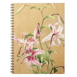 Antike rosa orientalische Lilie botanische Blumenk Notizblock