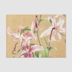 Antike rosa orientalische Lilie botanische Blumenk Seidenpapier