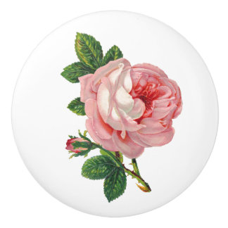 Antike rosa Rosen-Botanik Keramikknauf